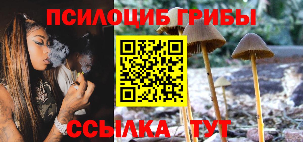 Псилоцибиновые грибы ЛСД  Псилоцибиновые грибы Psilocybine cubensis  Сыктывкар  Вход с VPN 